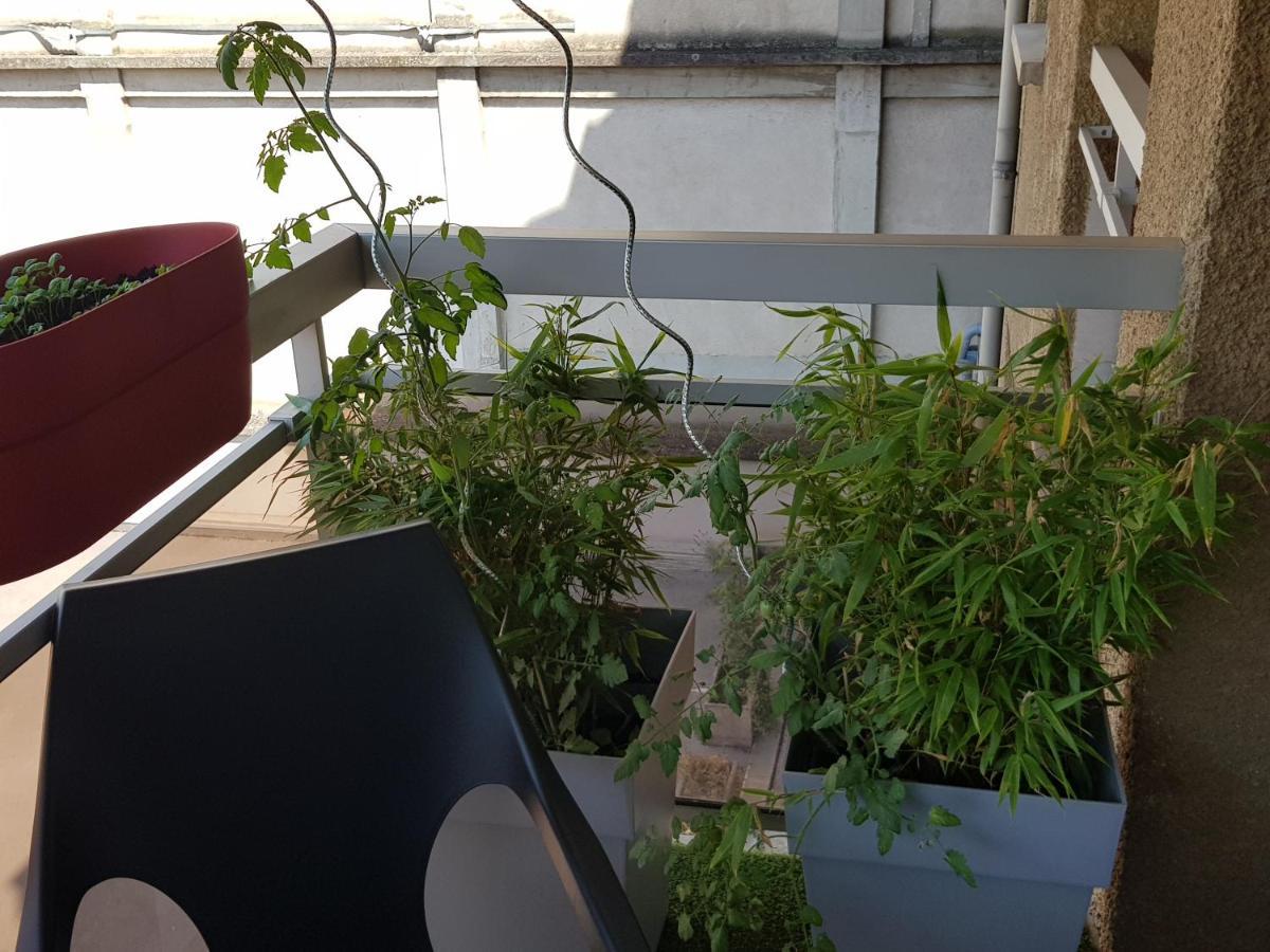 Compostela Apartment Le Puy-en-Velay ภายนอก รูปภาพ